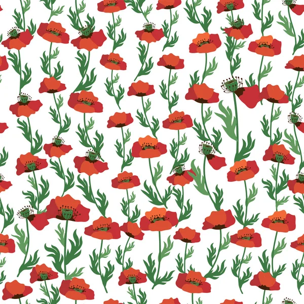 Summer Seamless Pattern Bright Red Poppy Flowers Poppy Pods Field — Stock Vector
