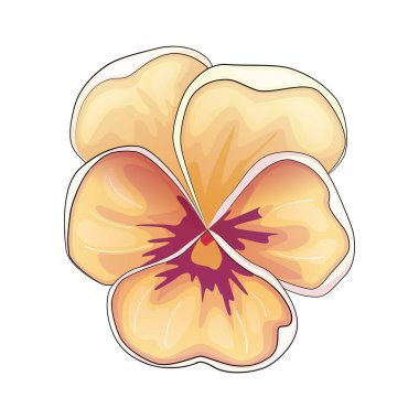 Gerçekçi vektör çiçekleri tomurcuklanır buketler. Amonlar, şakayıklar, manolyalar...