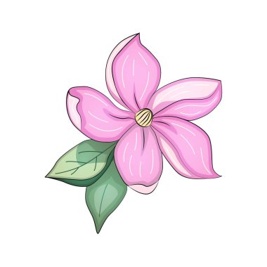 Gerçekçi vektör çiçekleri tomurcuklanır buketler. Amonlar, şakayıklar, manolyalar...