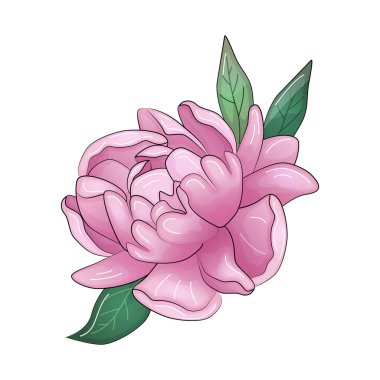 Gerçekçi vektör çiçekleri tomurcuklanır buketler. Amonlar, şakayıklar, manolyalar...