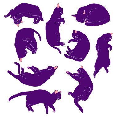 Boho tarzı mistik kedi seti, Silhouette koleksiyonu. Büyücülük ve büyücülük. Esrarengiz ve mistisizm, okültizm. Çizgi film düz vektör çizimleri, izole