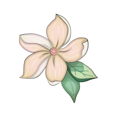 Gerçekçi çiçekler tomurcuklanır buketler. Amonlar, şakayıklar, manolyalar...