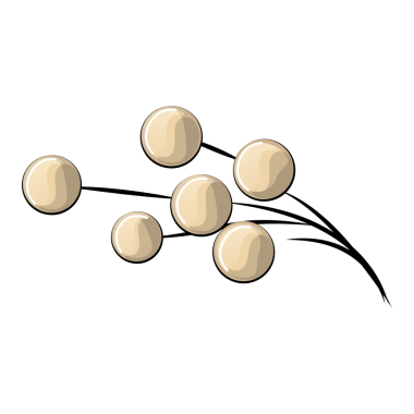 Gerçekçi çiçekler tomurcuklanır buketler. Amonlar, şakayıklar, manolyalar...