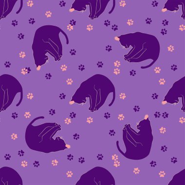 Boho tarzındaki kedilerin mistik kusursuz deseni, siluet koleksiyonu. Ezoterizm, mistisizm, okültizm. Çizgi film düz vektör çizimleri, izole