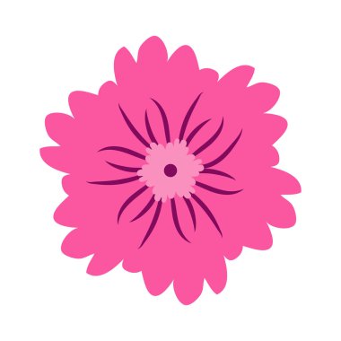 Vahşi ve bahçe çiçekleri, yapraklar. Modern vektör botanik çizimler, el çizimi çiçek tasarımı elementleri.