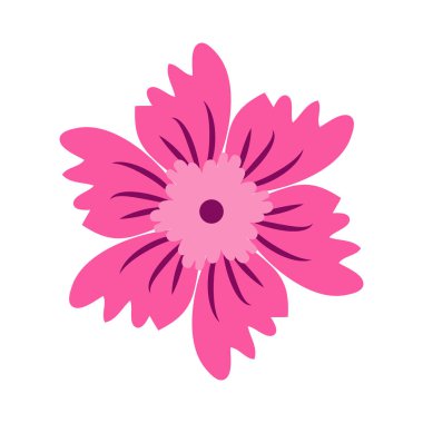 Vahşi ve bahçe çiçekleri, yapraklar. Modern vektör botanik çizimler, el çizimi çiçek tasarımı elementleri.