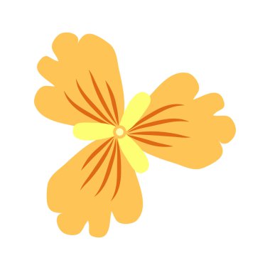 Vahşi ve bahçe çiçekleri, yapraklar. Modern vektör botanik çizimler, el çizimi çiçek tasarımı elementleri.