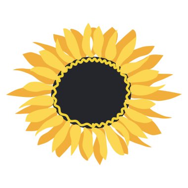 Vahşi ve bahçe çiçekleri, yapraklar. Modern vektör botanik çizimler, el çizimi çiçek tasarımı elementleri.