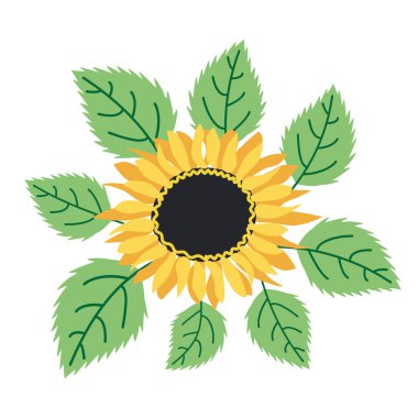 Vahşi ve bahçe çiçekleri, yapraklar. Modern vektör botanik çizimler, el çizimi çiçek tasarımı elementleri.