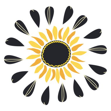 Vahşi ve bahçe çiçekleri, yapraklar. Modern vektör botanik çizimler, el çizimi çiçek tasarımı elementleri.