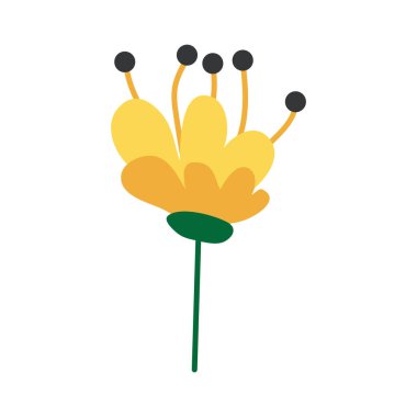 Vahşi ve bahçe çiçekleri, yapraklar. Modern vektör botanik çizimler, el çizimi çiçek tasarımı elementleri.