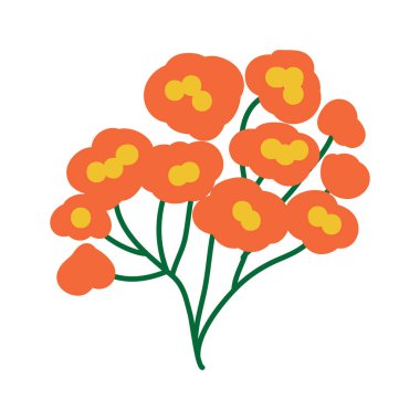 Vahşi ve bahçe çiçekleri, yapraklar. Modern vektör botanik çizimler, el çizimi çiçek tasarımı elementleri.