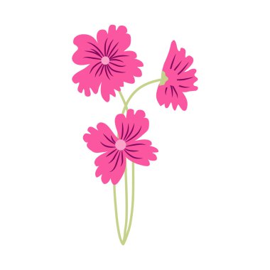 Vahşi ve bahçe çiçekleri, yapraklar. Modern vektör botanik çizimler, el çizimi çiçek tasarımı elementleri.