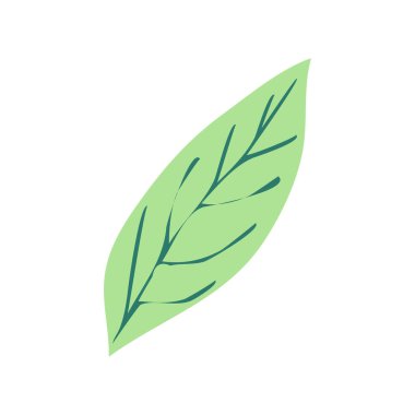 Vahşi ve bahçe çiçekleri, yapraklar. Modern vektör botanik çizimler, el çizimi çiçek tasarımı elementleri.