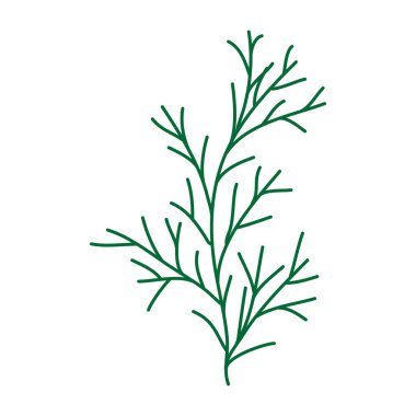 Vahşi ve bahçe çiçekleri, yapraklar. Modern vektör botanik çizimler, el çizimi çiçek tasarımı elementleri.