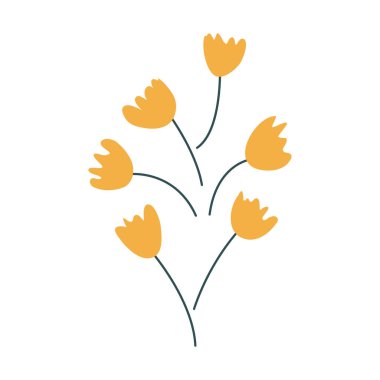 Vahşi ve bahçe çiçekleri, yapraklar. Modern vektör botanik çizimler, el çizimi çiçek tasarımı elementleri.