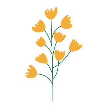 Vahşi ve bahçe çiçekleri, yapraklar. Modern vektör botanik çizimler, el çizimi çiçek tasarımı elementleri.