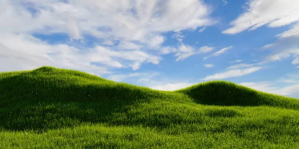 Padang Rumput Hijau Dengan Latar Belakang Langit Biru Yang Jelas — Stok Foto