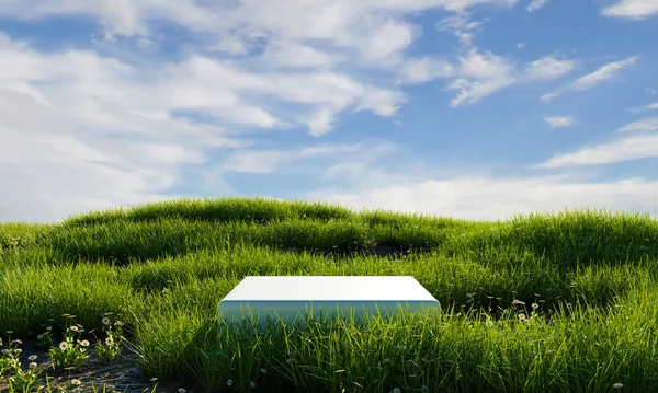 Putih Minimal Podium Padang Rumput Hijau Dengan Latar Belakang Langit — Stok Foto