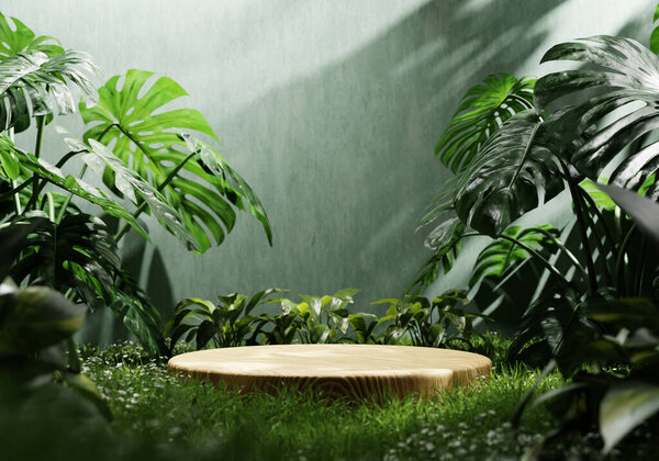 Wooden Product Display Podium Green Room Grass Flowers Sunshine Shadow Royalty Free Stock Images