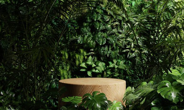 Wooden Product Display Podium Jungle Forest Sunshine Shadow Background Product Stock Photo