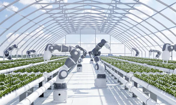 Granja Inteligente Con Manos Robot Cultivando Cosechando Verduras Invernadero Con —  Fotos de Stock