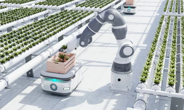 Agv Roboterkurierwagen Transportieren Hydroponische Gemüsekisten Zum Lager Für Die Auslieferung Stockbild