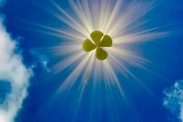 Radiant Light Shines Four Leaf Clover Blue Sky Puffy Clouds — Stock Photo, Image