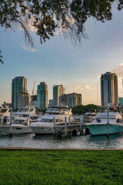 St. Petersburg Florida Skyline ve Tampa Körfezi