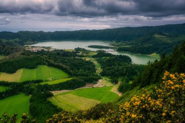 Sete şarabı, göl ve çiçeklerle dolu tarlaların manzarası, Sao Miguel, Azores, Portekiz