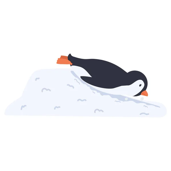 Pinguin Rutscht Vom Schneehügel — Stockvektor