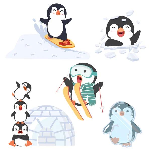 冬季套件中的可爱企鹅活动 — 图库矢量图片