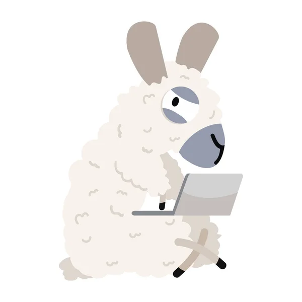 Linda Alpaca Con Dibujos Animados Para Ordenador Portátil — Archivo Imágenes Vectoriales