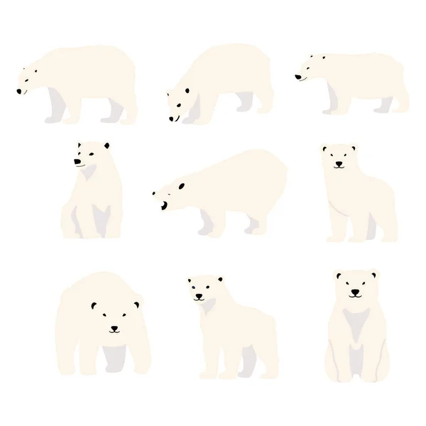 Urso Polar Engraçado Personagem Cartoon Conjunto — Vetor de Stock