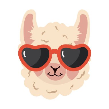 Gözlüklü lama alpaka kafa.