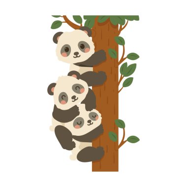 Üç Pandanın Ağaca Tırmanma Çizgisi