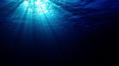 Sualtı okyanus dalgaları ışık ışınlarıyla dalgalanır ve akar. 4K kusursuz döngü