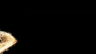 Parçacık Akımı Lüks Patlama Geçiş Açığa Çıkarıcı Elementi