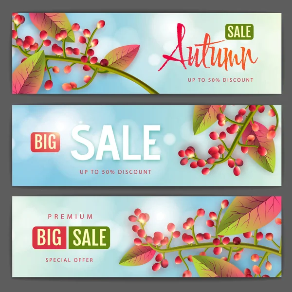 Set Autumn Big Sale Typography Banners Autumn Leaves Nature Concept — Stock Vector
