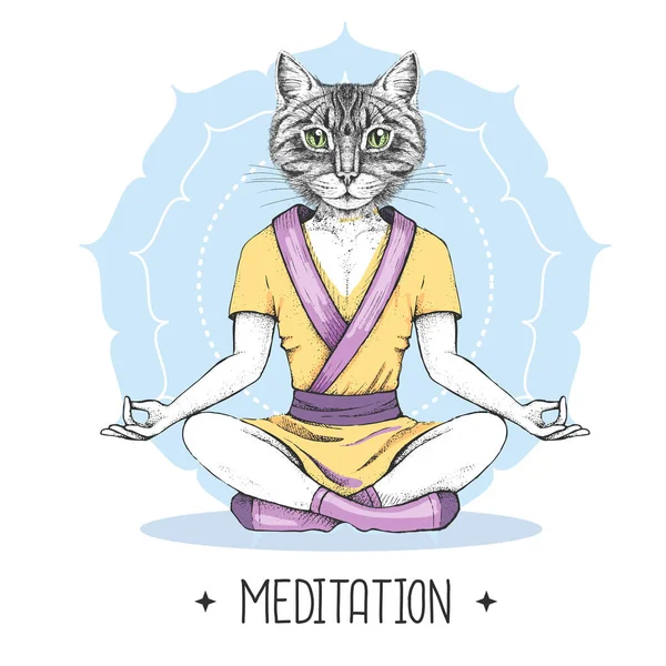Hand drawing hipster animal cat meditating in lotus position on mandala background. Vector illustration