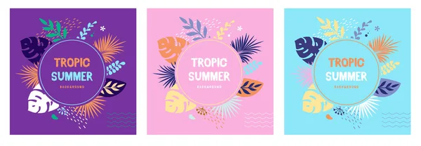 Set Colorful Summer Banners Tropic Leaves Summertime Template Collection Vector — Stock Vector