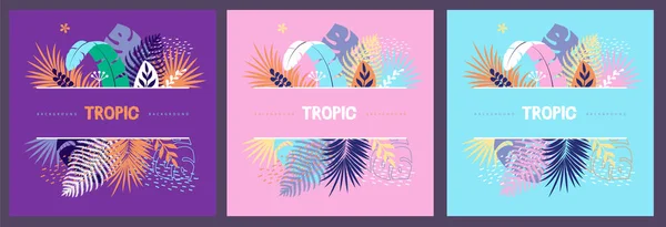 Tropik Yapraklı Renkli Yaz Pankartları Seti Yaz Dönemi Şablon Koleksiyonu — Stok Vektör