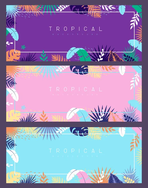 Conjunto Banners Coloridos Verão Com Folhas Tropicais Coleção Modelos Verão — Vetor de Stock