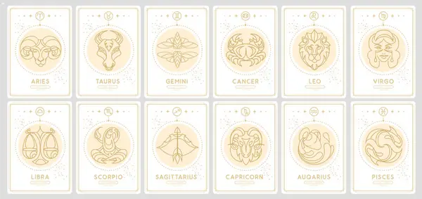 Set Modern Magic Witchcraft Cards Astrology Zodiac Signs Zodiac Characteristic — Stock Vector