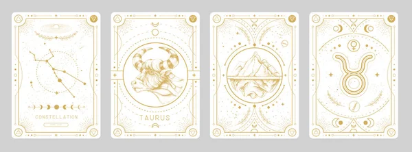Set Modern Magic Witchcraft Cards Astrology Taurus Zodiac Sign Characteristic — Stock Vector