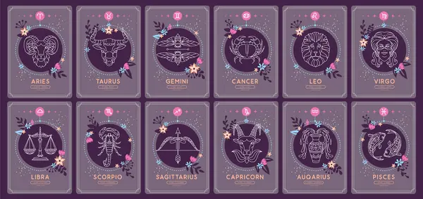 Uppsättning Moderna Magiska Häxkonster Kort Med Astrologi Zodiak Tecken Natthimlen — Stock vektor