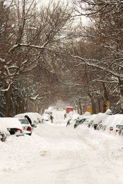 Montreal, Quebec 'te kış mevsiminde meydana gelen büyük bir kar fırtınasından sonra sokaklar ve arabalar karla doludur. Şehirde bir günde 30 cm 'den fazla..