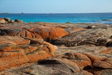 Tazmanya 'daki Ateş Koyu' nun güzel manzarası. Kayalar turuncu ve okyanus turkuazdır..