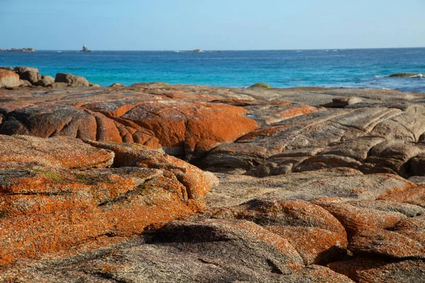 Schöne Landschaft Der Bucht Von Feuer Tasmanien Felsen Sind Orange — Stockfoto