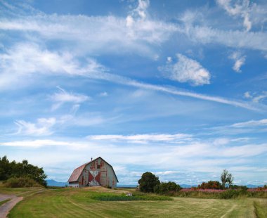 Kamouraska, Quebec, Kanada 'da bir arazide eski bir ahır.. 